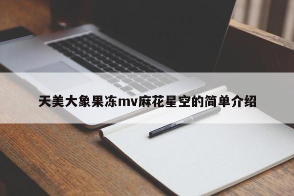 天美大象果冻mv麻花星空的简单介绍
