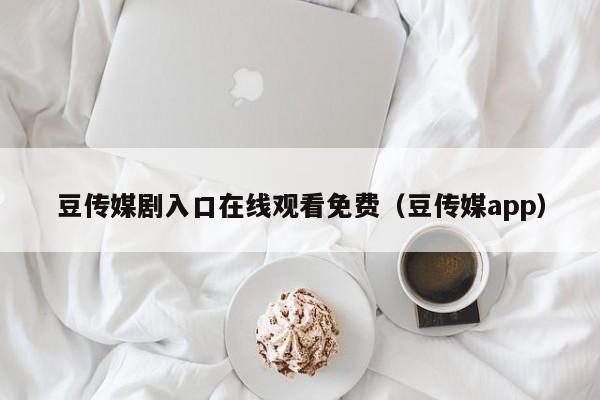 豆传媒剧入口在线观看免费(豆传媒app)