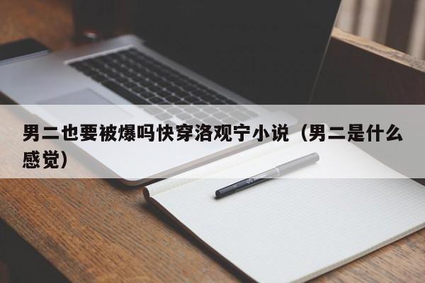 男二也要被爆吗快穿洛观宁小说(男二是什么感觉)